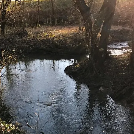 La Enchantée - Votre Pause Arborée * La Bruyere