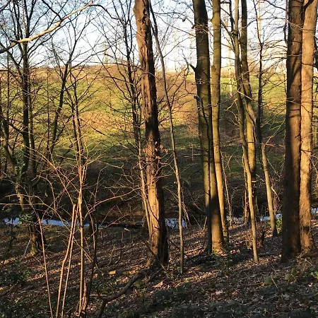 La Enchantee - Votre Pause Arboree