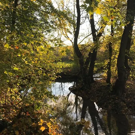 La Enchantée - Votre Pause Arborée
