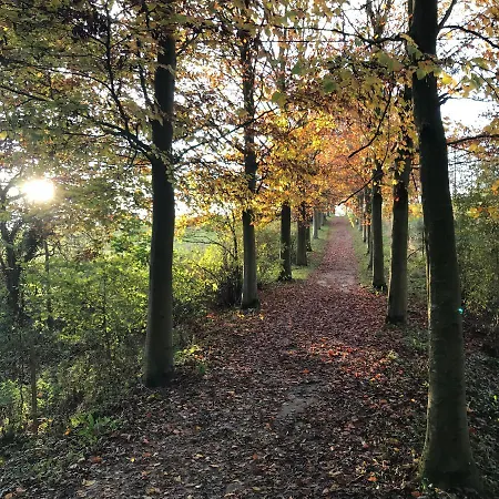 La Enchantee - Votre Pause Arboree Alpehytte