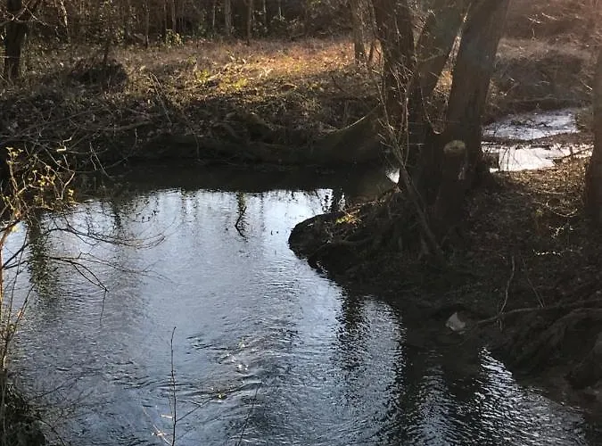 La Enchantee - Votre Pause Arboree * La Bruyere