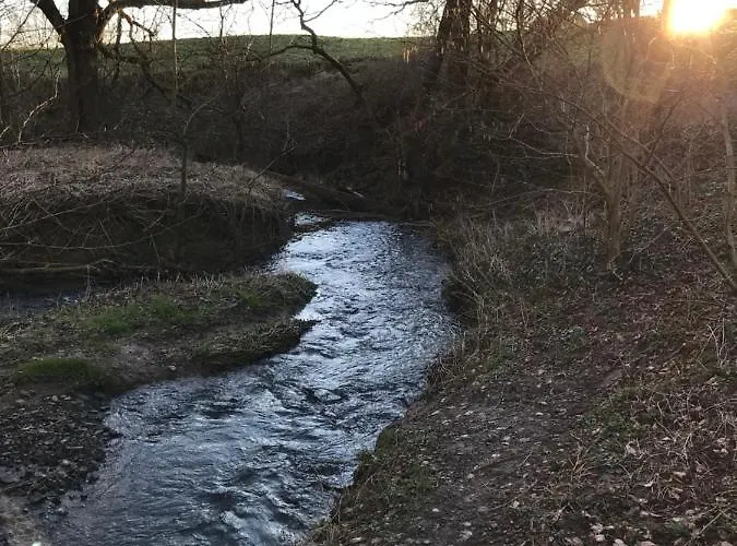 La Enchantee - Votre Pause Arboree