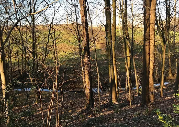 La Enchantee - Votre Pause Arboree