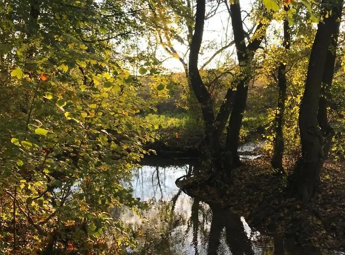 La Enchantee - Votre Pause Arboree