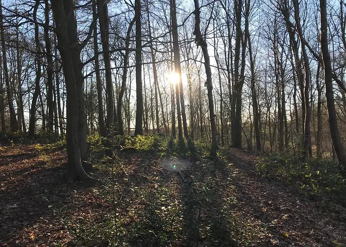 Chalet La Enchantee - Votre Pause Arboree