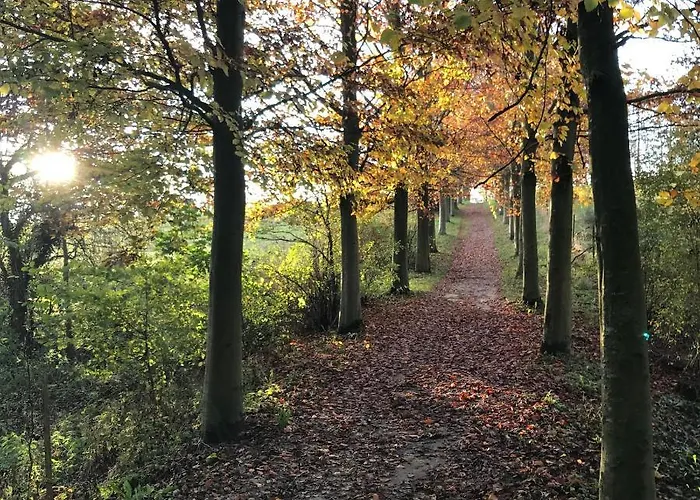 La Enchantee - Votre Pause Arboree Chalet